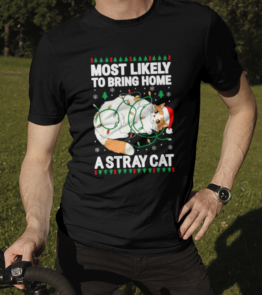 Most Likely To Bring Home A Stray Cat Christmas Lights Santa Hat Festive Holiday Cat T-Shirt