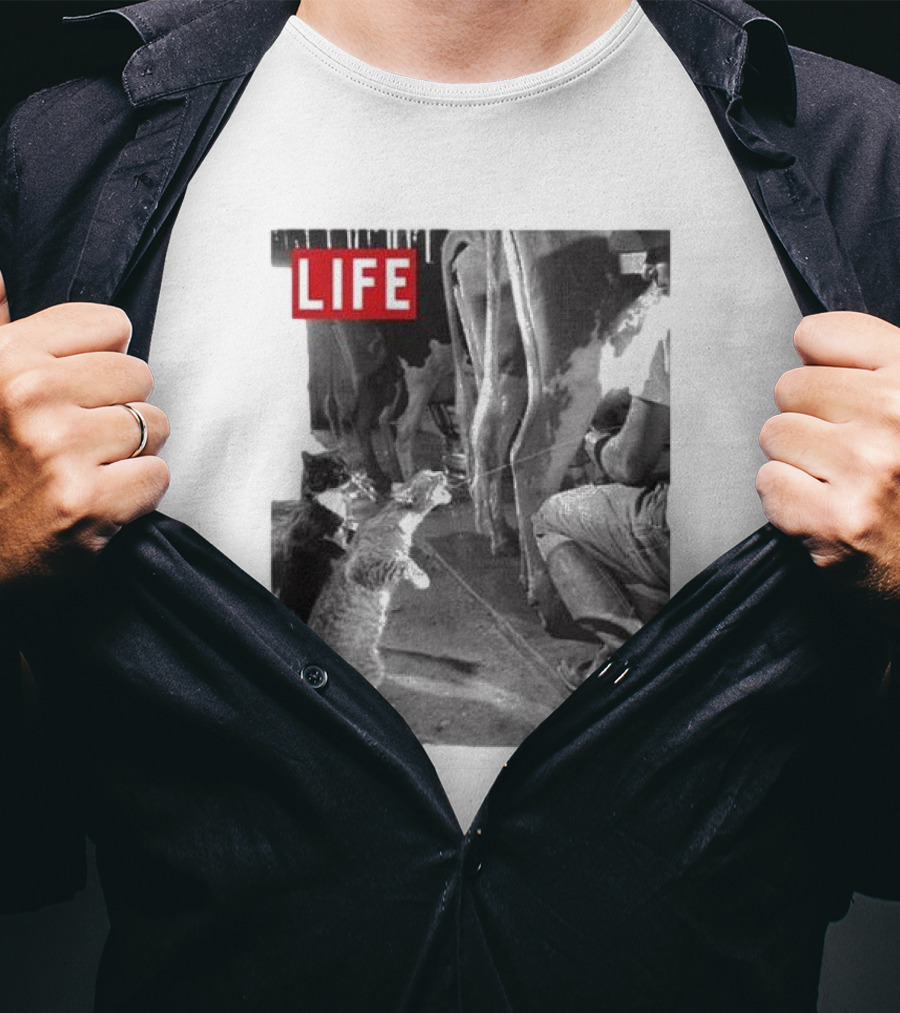 Life Magazine Cats Enjoying Fresh Milk T-Shirt