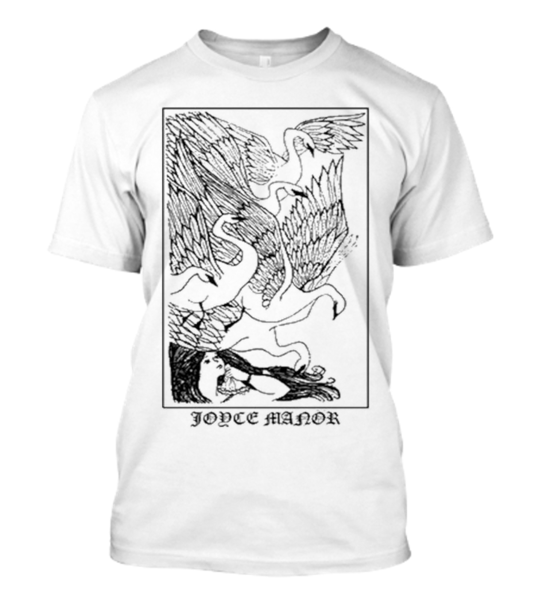 Joyce Manor Turtle Goose Girl Peaceful Interaction T-Shirt