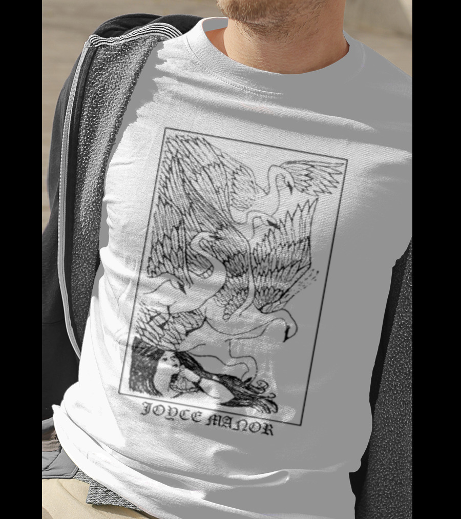 Joyce Manor Turtle Goose Girl Peaceful Interaction T-Shirt