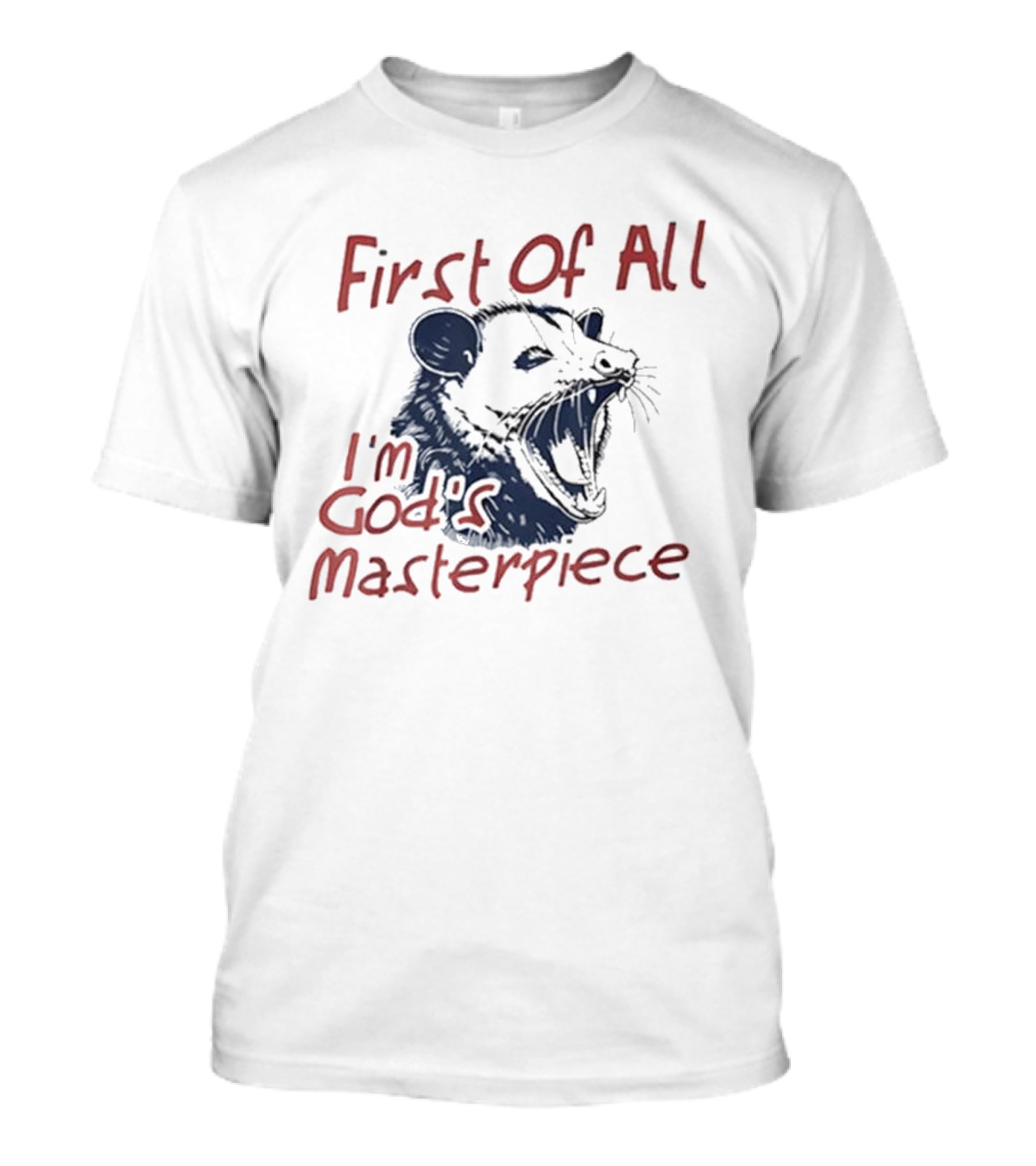 "Raccoon First Of All I'm God's Masterpiece" T-Shirt