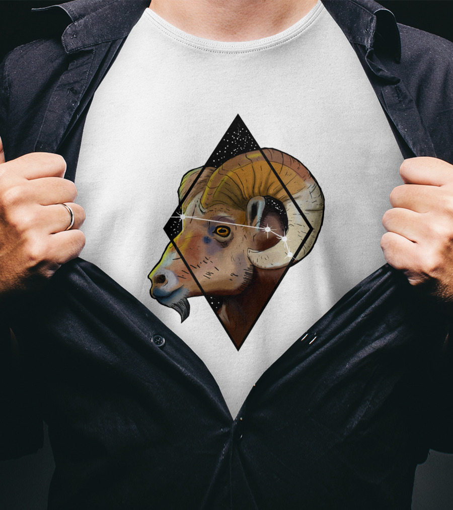 Aries Ram Starry Diamond 1041397 T-Shirt