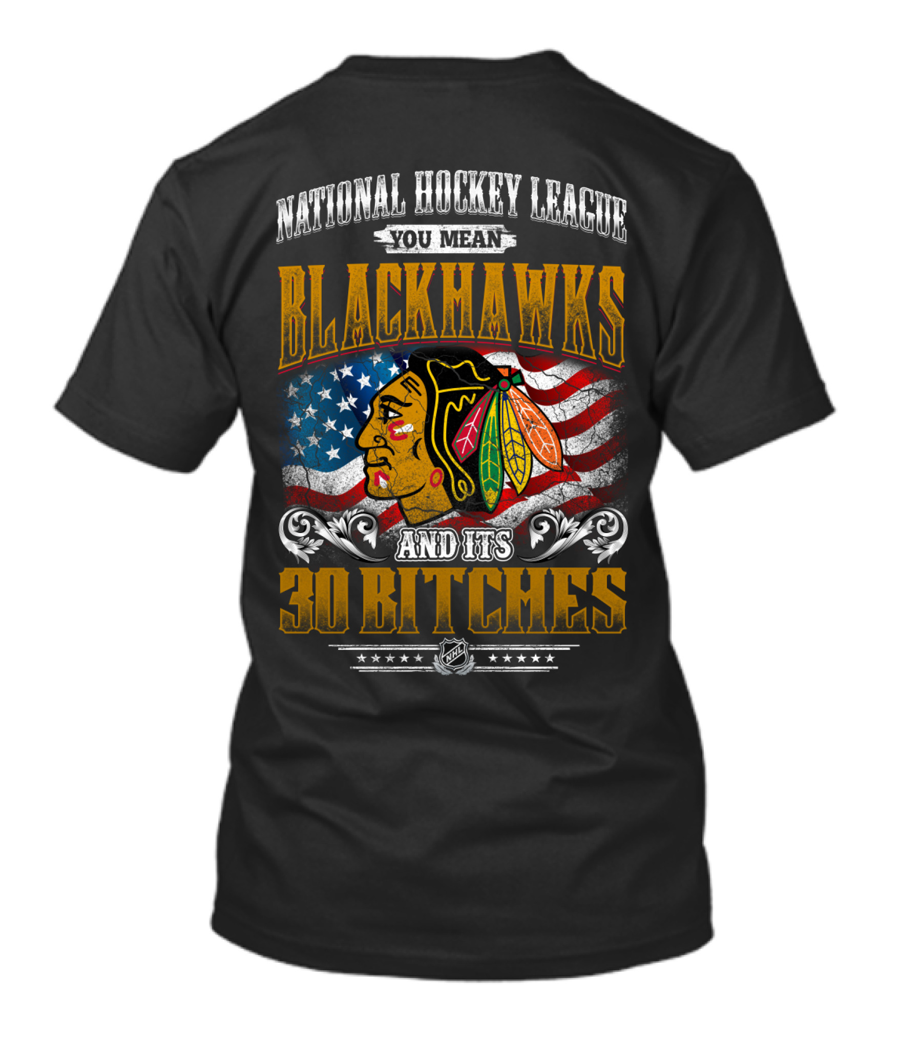 National Hockey League You Mean Blackhawks And Its 30 Bitches T-Shirt
