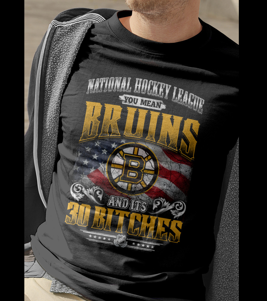 Bruins National Hockey League You Mean And Its 30 Bitches T-Shirt