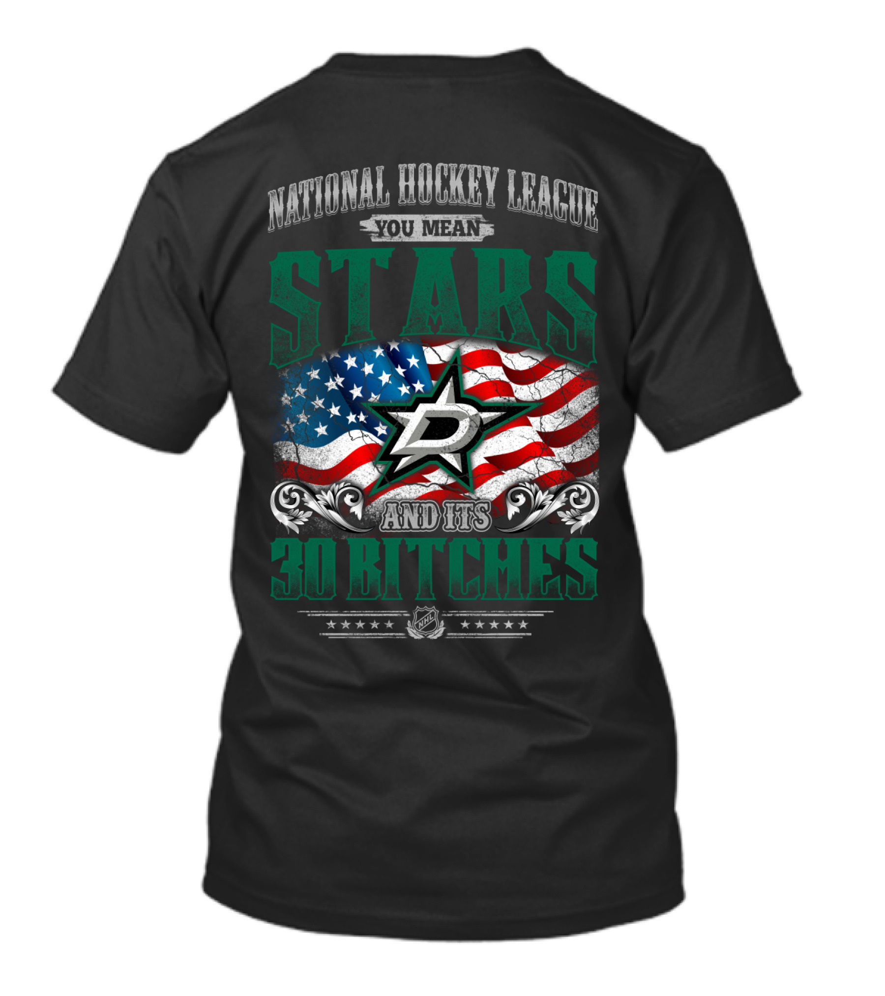 National Hockey League You Mean Dallas Stars And Its 30 Bitches T-Shirt