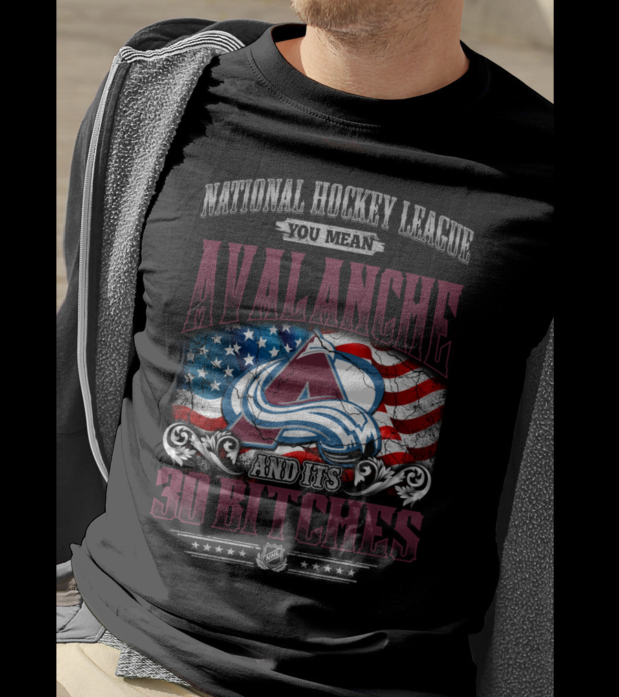 National Hockey League You Mean Avalanche And Its 30 Bitches T-Shirt