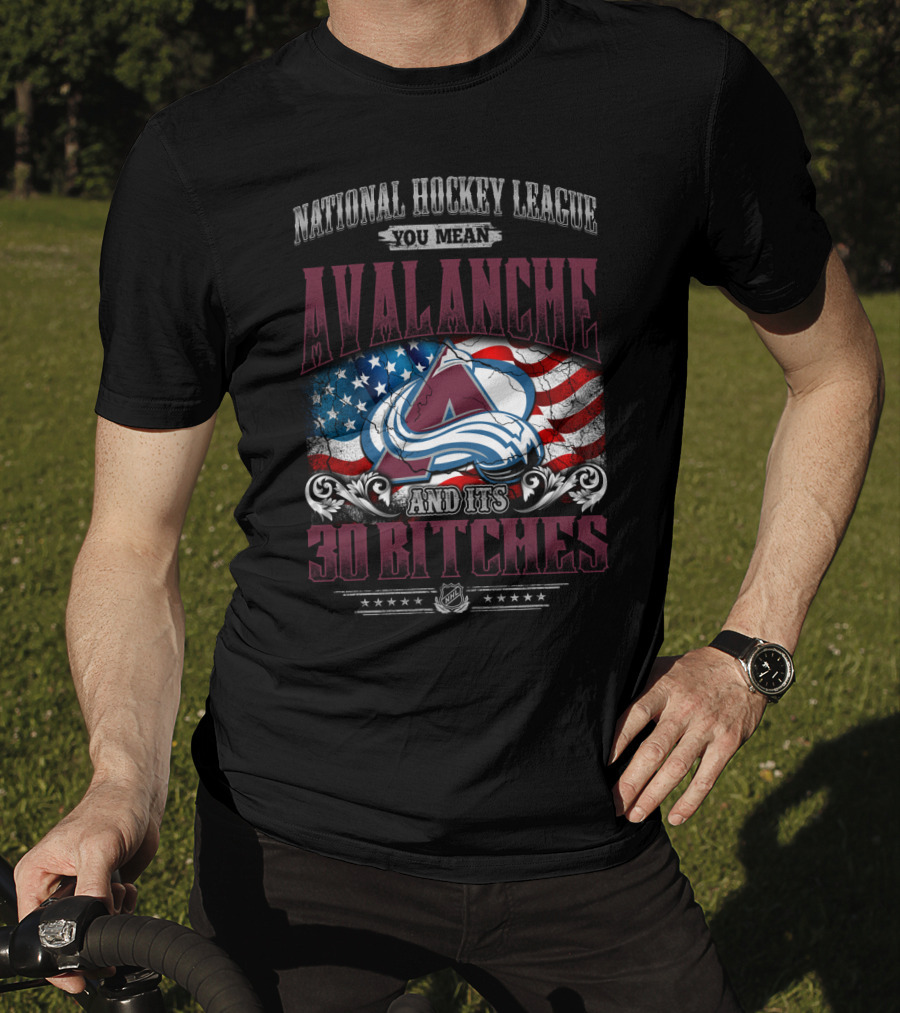 National Hockey League You Mean Avalanche And Its 30 Bitches T-Shirt