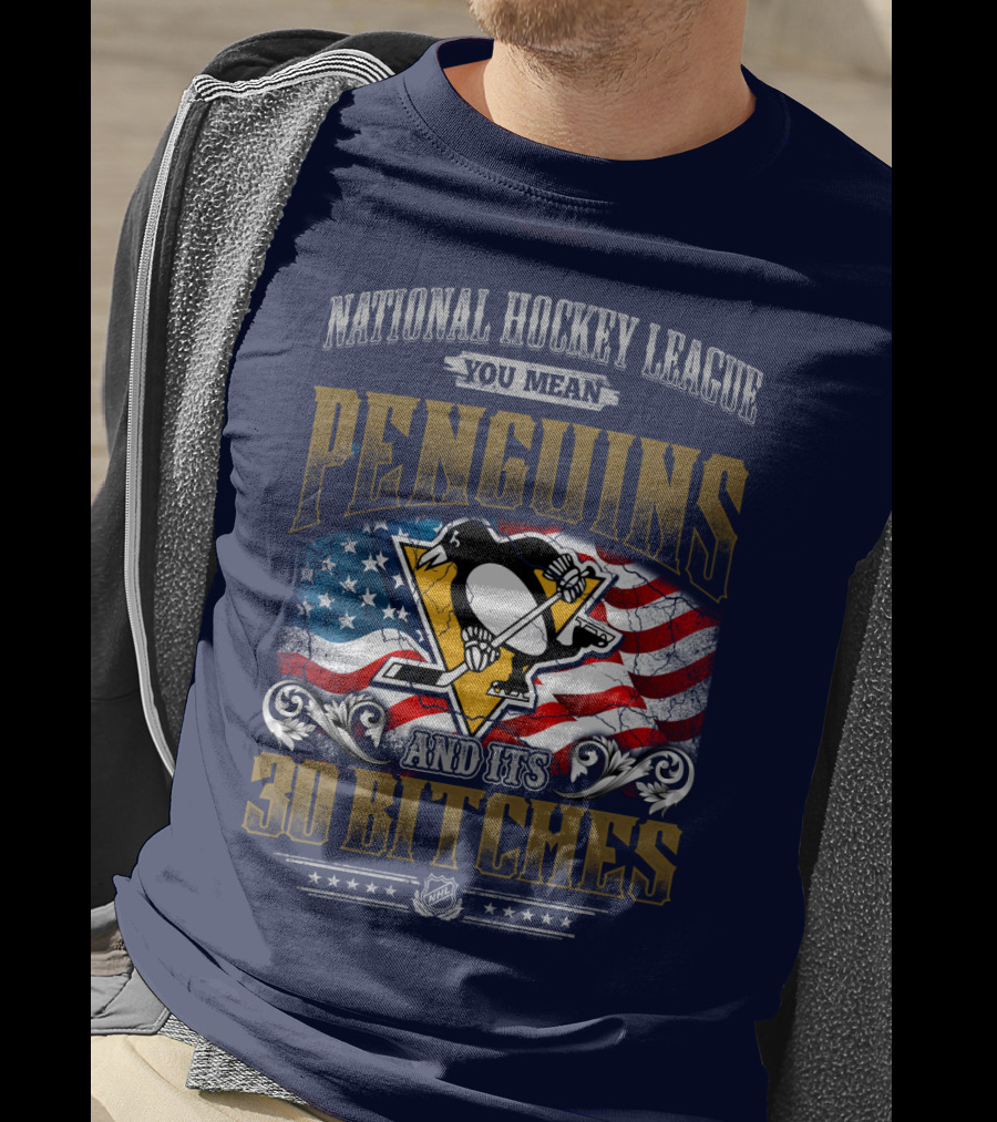 National Hockey League You Mean Penguins And Its 30 Bitches T-Shirt