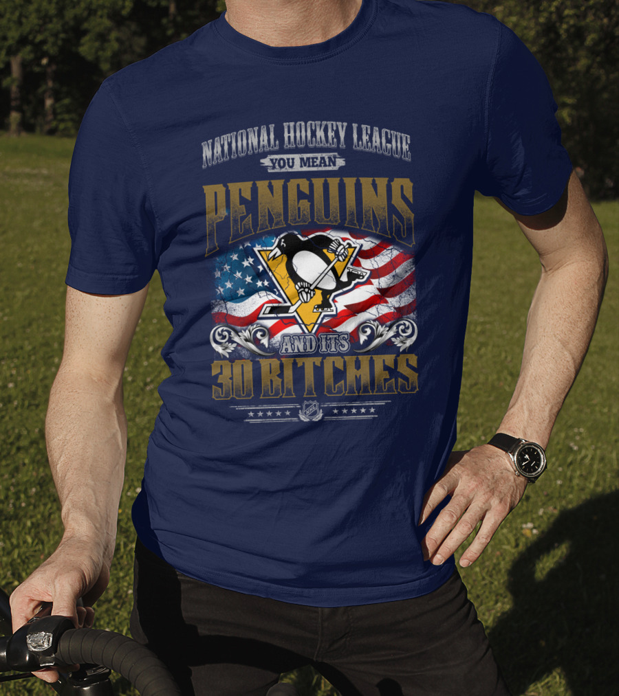 National Hockey League You Mean Penguins And Its 30 Bitches T-Shirt