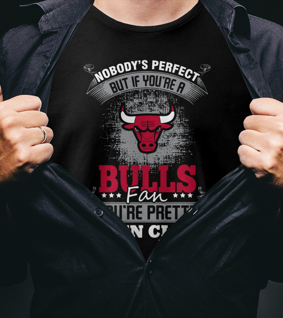 Nobody's Perfect But If You're A Bulls Fan You're Pretty Damn Close T-Shirt