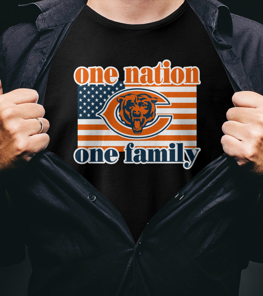 One Nation One Family Chicago Bears American Flag T-Shirt