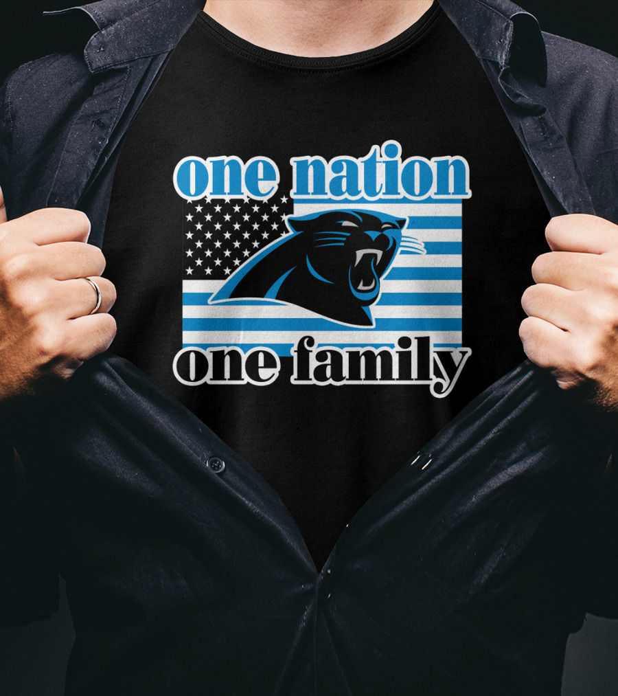 One Nation One Family Carolina Panthers 28 T-Shirt