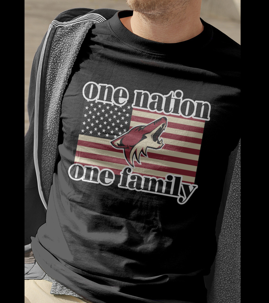 One Nation One Family Arizona Coyotes American Flag T-Shirt