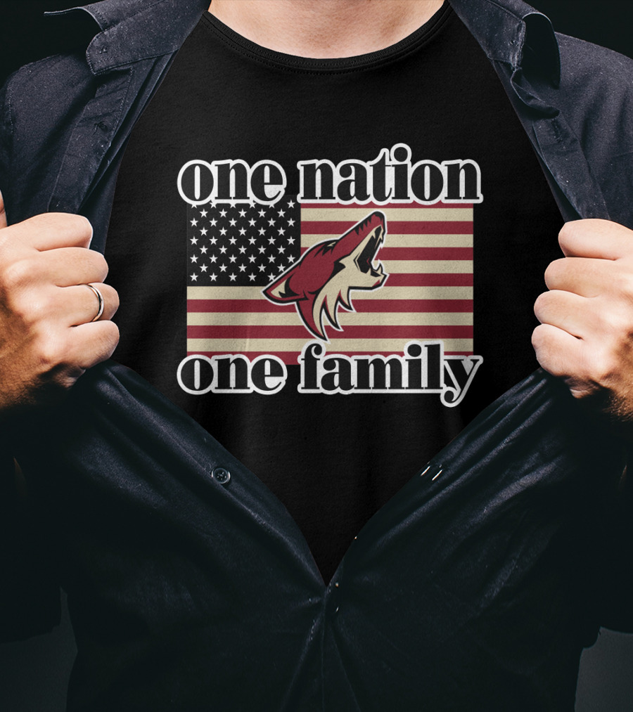 One Nation One Family Arizona Coyotes American Flag T-Shirt
