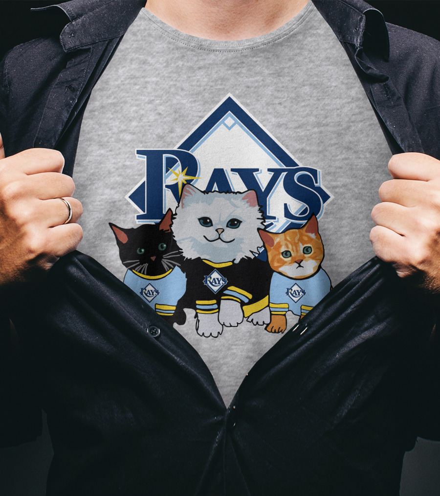 Rays Cats Wearing Team Jerseys Tampa Bay T-Shirt