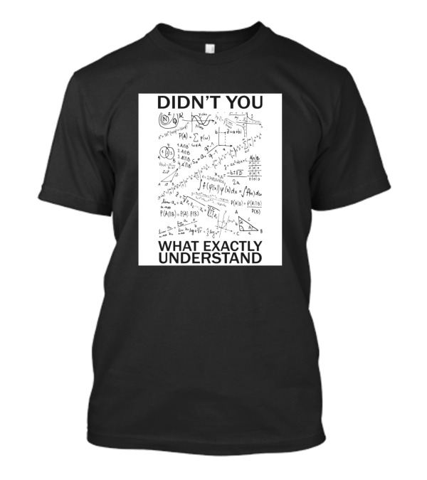 DIDN'T YOU WHAT EXACTLY UNDERSTAND Math Equations And Formulas T-Shirt