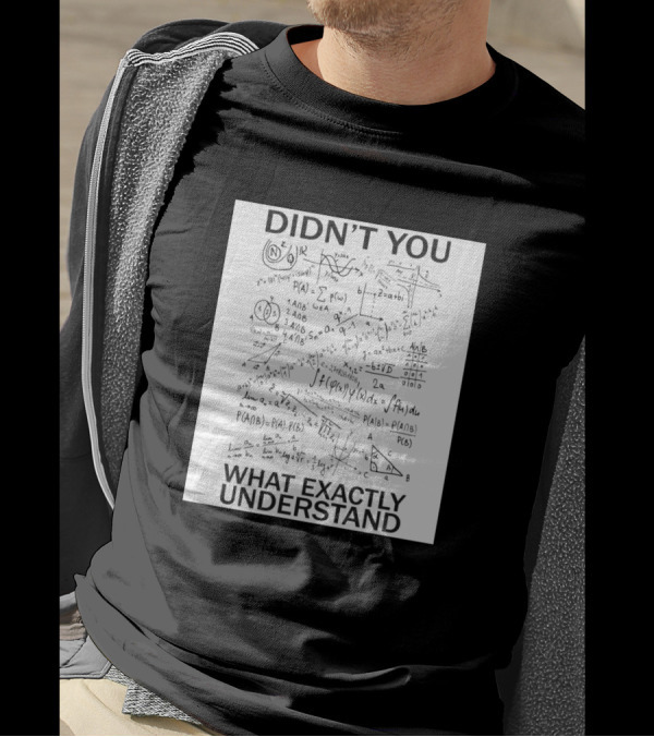 DIDN'T YOU WHAT EXACTLY UNDERSTAND Math Equations And Formulas T-Shirt