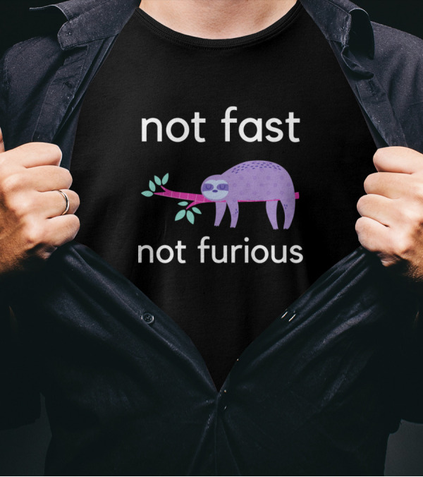 Not Fast Not Furious Cute Sloth On Branch T-Shirt
