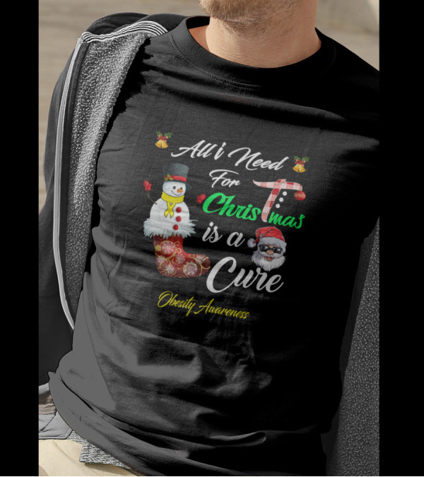 All I Need For Christmas Is A Cure Obesity Awareness Festive Santa Snowman T-Shirt