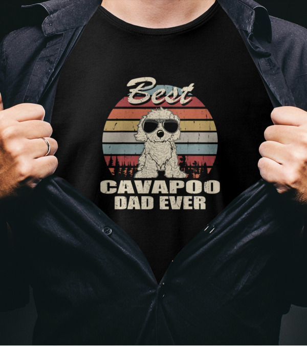Best Cavapoo Dad Ever Vintage Retro Dog Dad With Sunglasses And Sunset Stripes T-Shirt