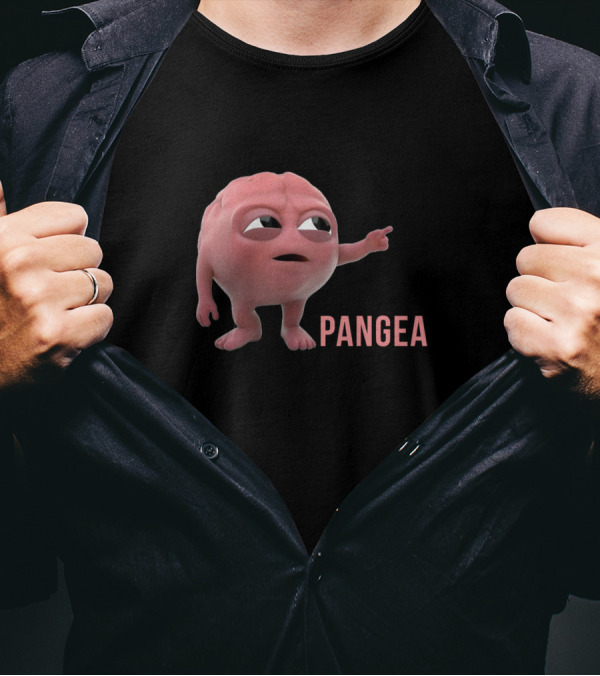 This B#$%@ Don't Know About Pangea Funny Character T-Shirt