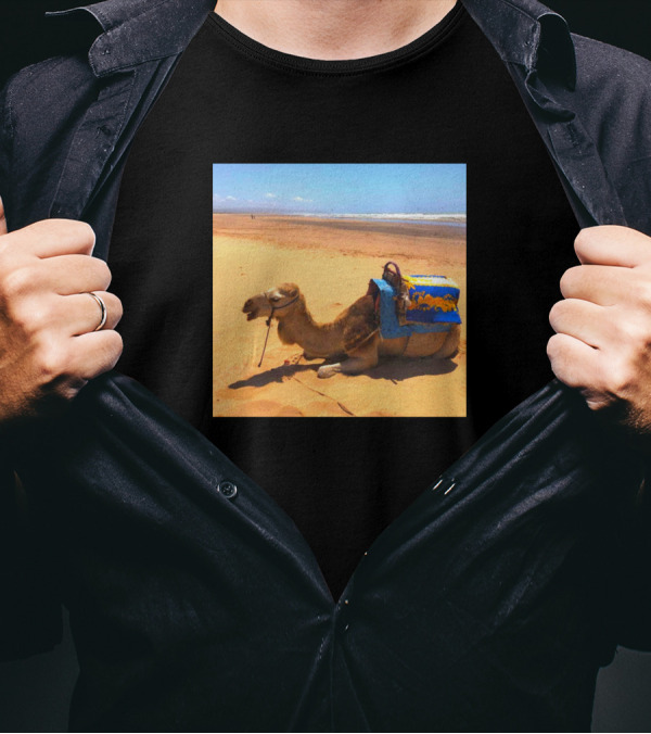 Camel With Blue Saddle Relaxing On Moroccan Beach T-Shirt
