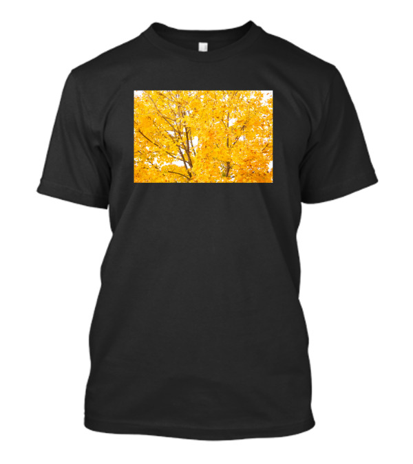 Autumn Leaves In Orange T-Shirt