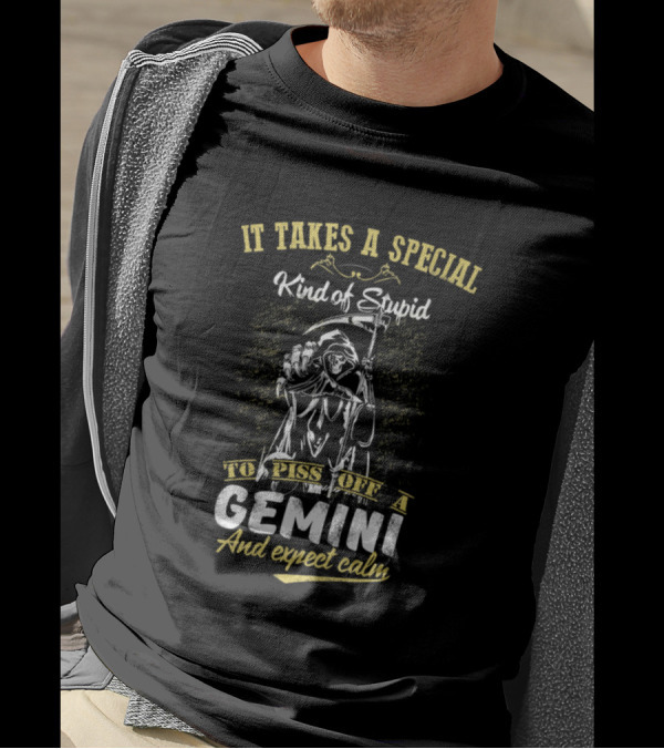 It Takes A Special Kind Of Stupid To Piss Off A Gemini And Expect Calm T-Shirt