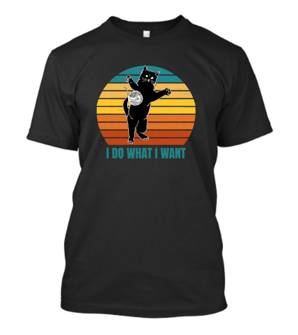 I Do What I Want Black Cat Vintage Sunset T-Shirt