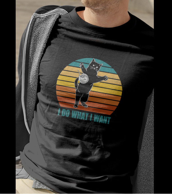 I Do What I Want Black Cat Vintage Sunset T-Shirt