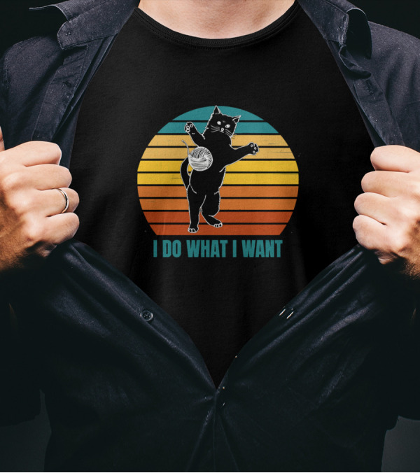 I Do What I Want Black Cat Vintage Sunset T-Shirt