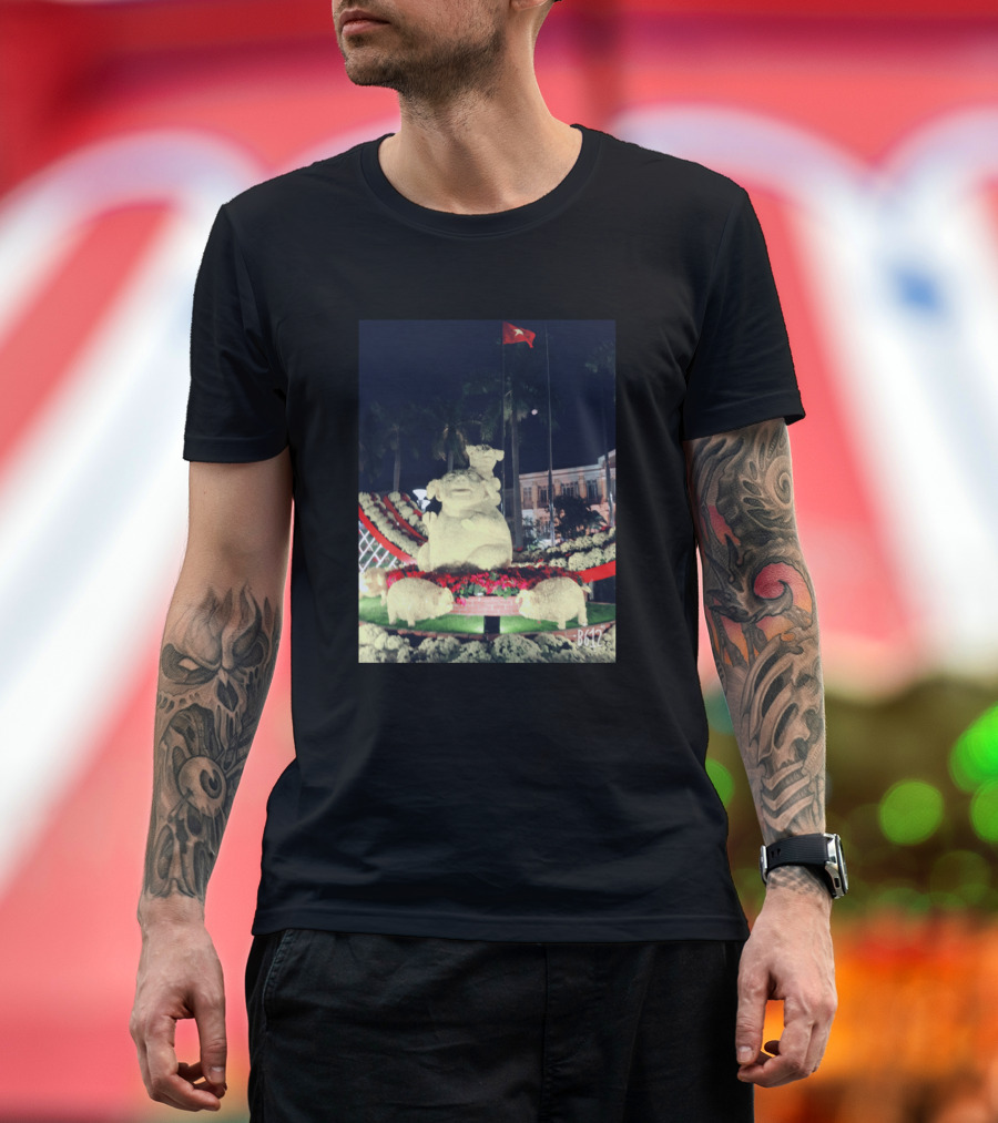 BG47 Nighttime Pig Statue Display with Red Flag T-Shirt