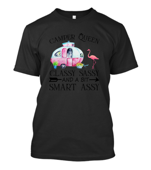 Camper Queen Classy Sassy And A Bit Smart Assy Flamingo Caravan T-Shirt