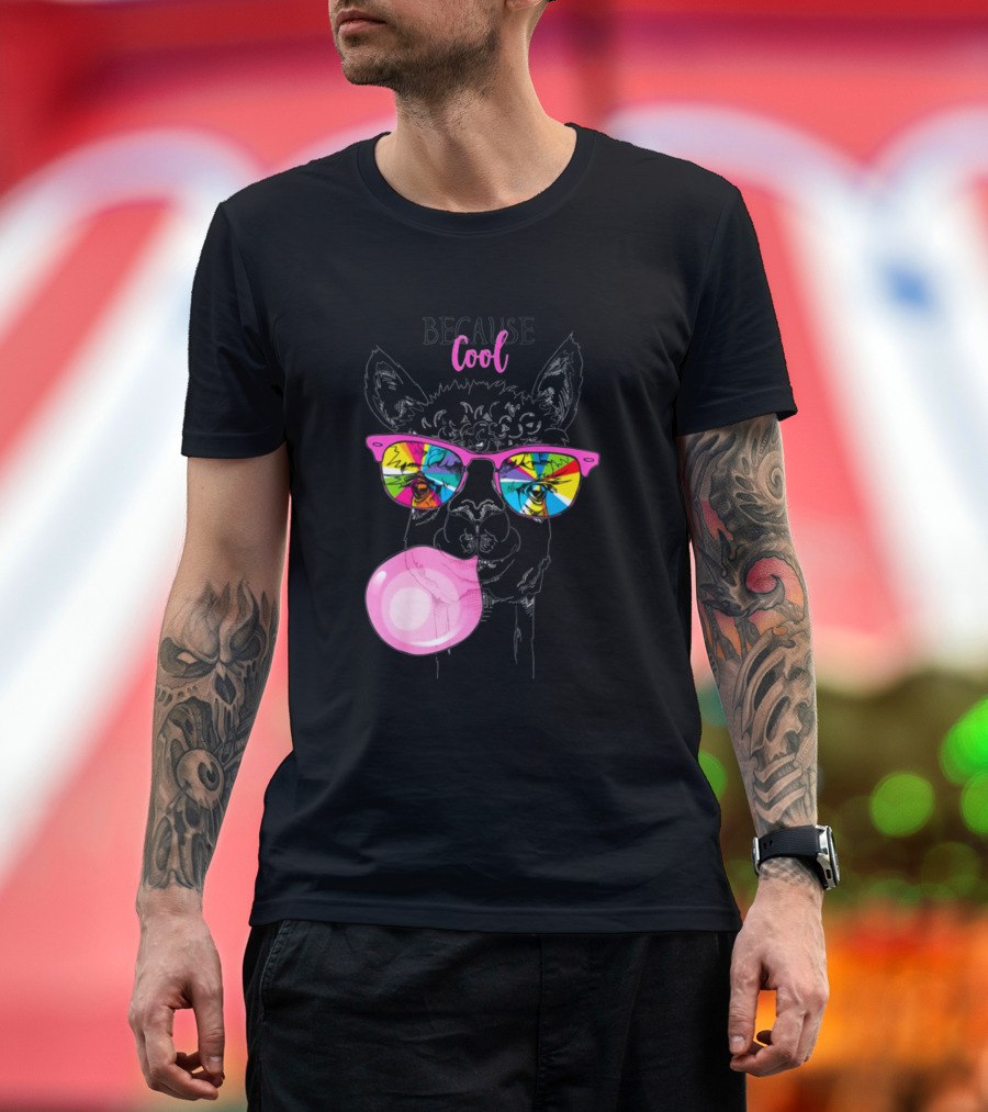 Because Cool Funny Llama in Rainbow Glasses with Pink Bubble Gum T-Shirt