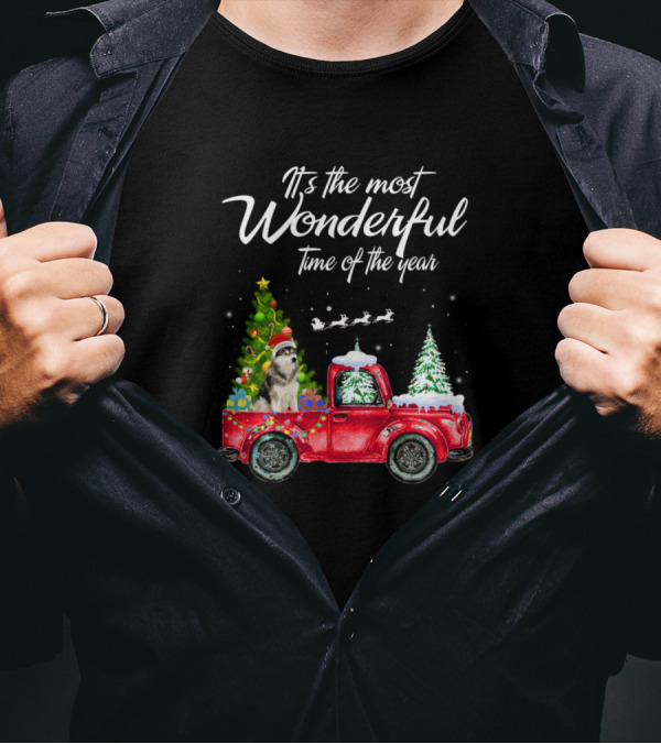 Its The Most Wonderful Time Of The Year With Truck Christmas Tree Dog Santa Hat T-Shirt