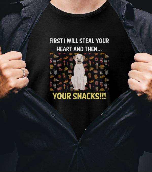 First I Will Steal Your Heart And Then Your Snacks Kangal Dog Surrounded By Food T-Shirt