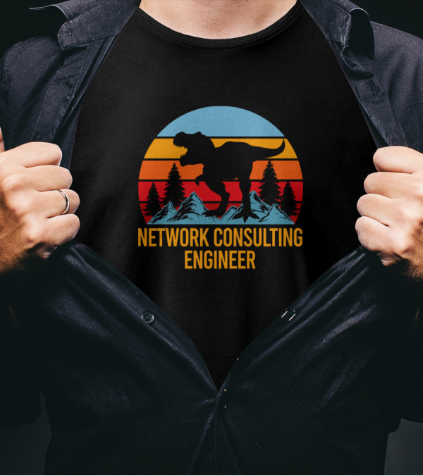 Network Consulting Engineer Dinosaur Sunset Retro T-Shirt