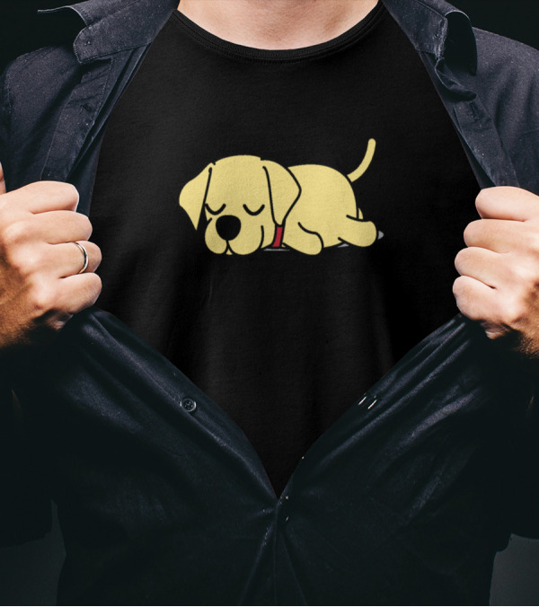Lazy Labrador Sleeping Cute Funny T-Shirt