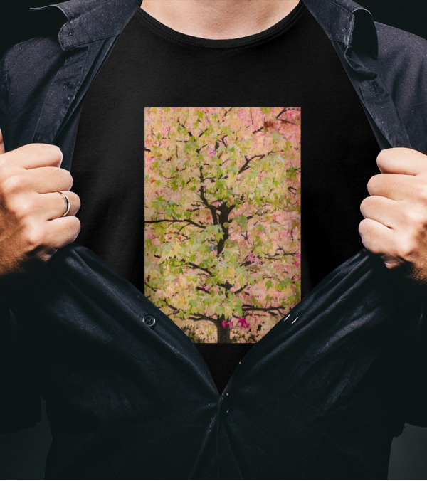 Colorful Fall Leaves On A Tree With Vibrant Autumn Foliage T-Shirt