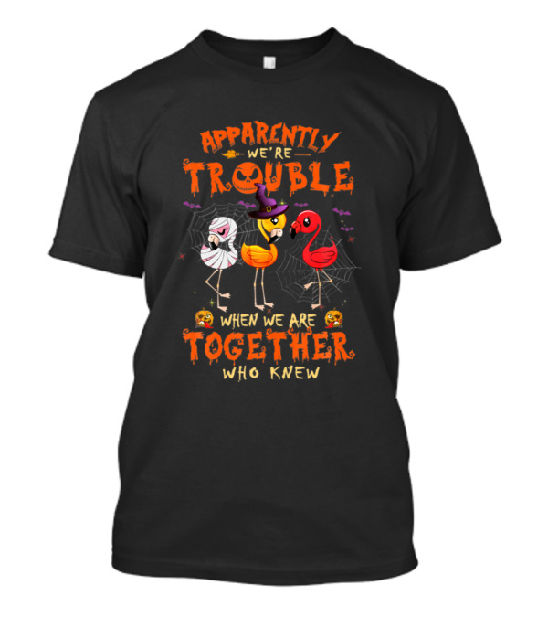 Apparently We're Trouble When We Are Together Who Knew Halloween Flamingos T-Shirt