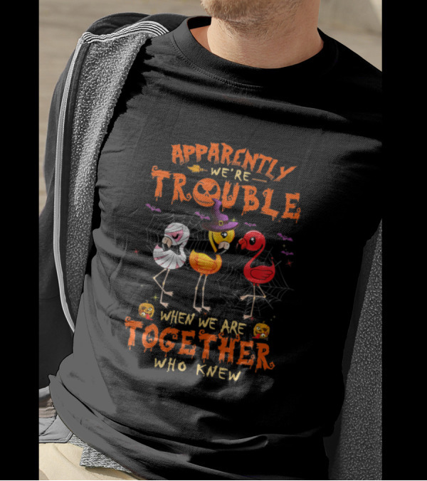 Apparently We're Trouble When We Are Together Who Knew Halloween Flamingos T-Shirt