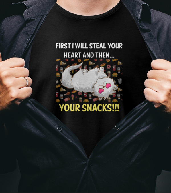 First I Will Steal Your Heart And Then Your Snacks Persian Cat T-Shirt