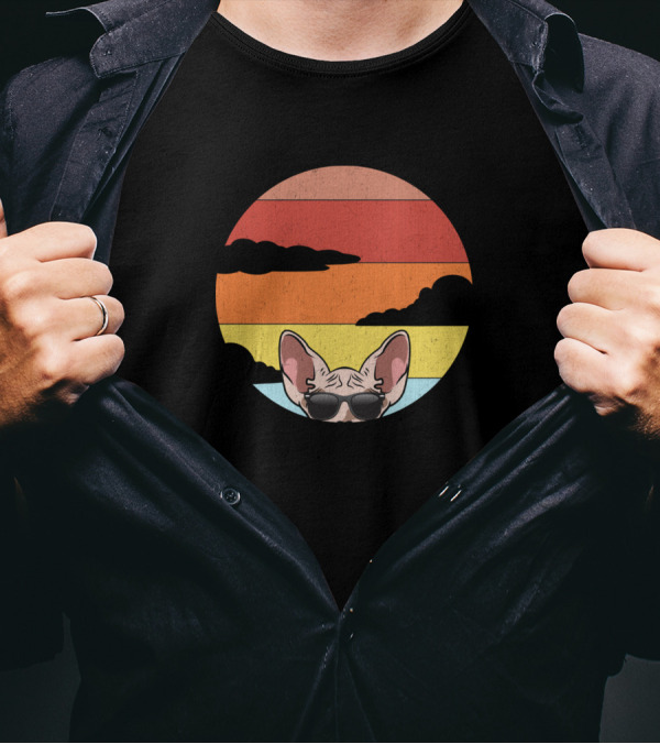 Best Cat Dad Sphynx Cat Ever Peeking Retro Sunset T-Shirt