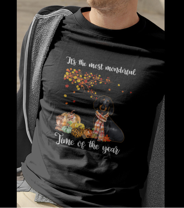 Its The Most Wonderful Time Of The Year Dog Autumn Leaves Pumpkins T-Shirt