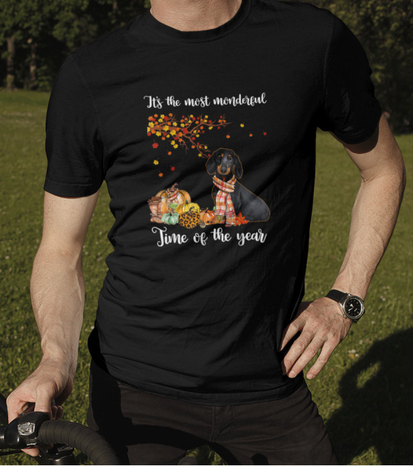 Its The Most Wonderful Time Of The Year Dog Autumn Leaves Pumpkins T-Shirt