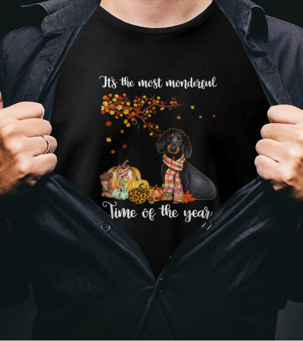 Its The Most Wonderful Time Of The Year Dog Autumn Leaves Pumpkins T-Shirt