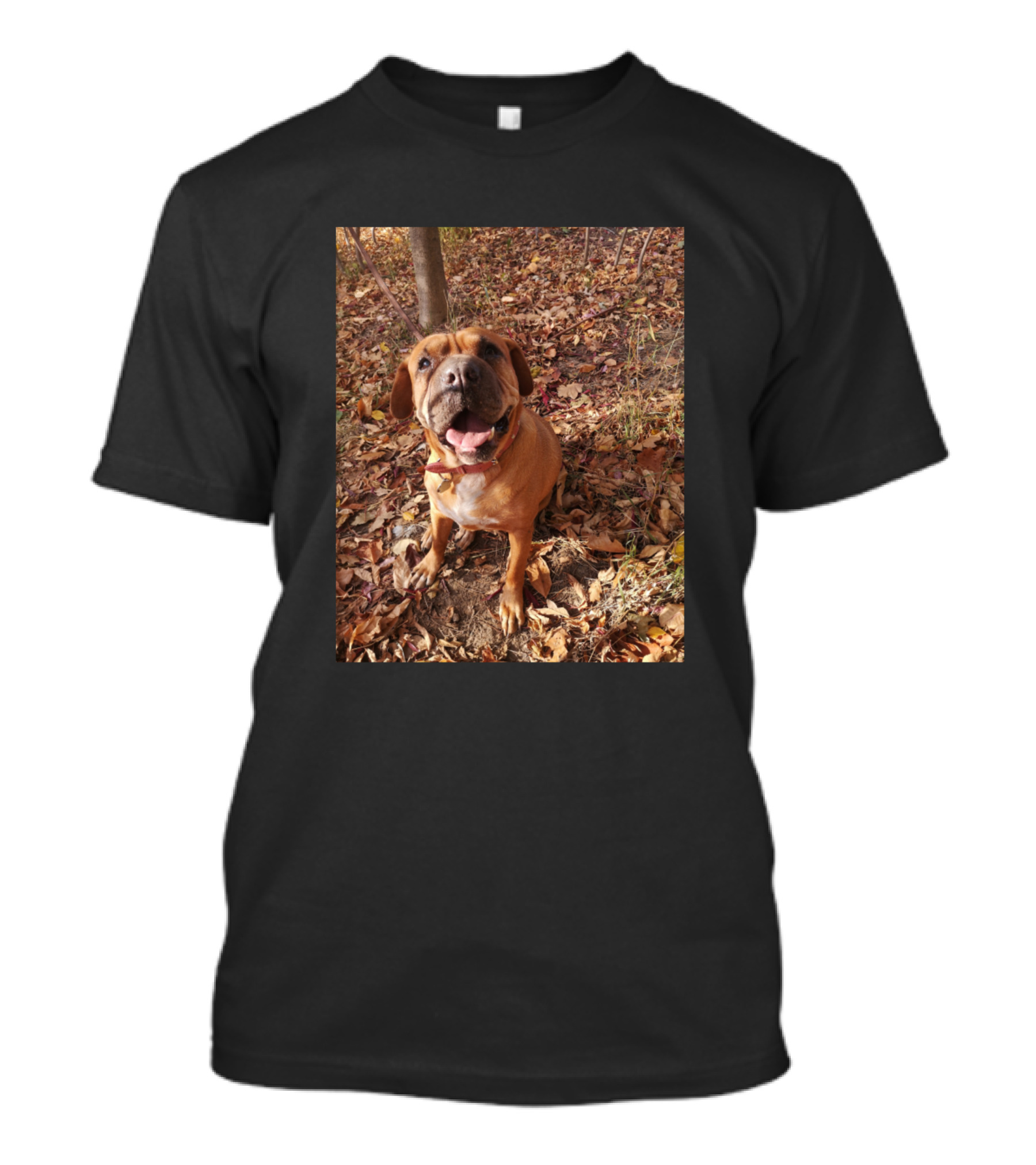 Canela Autumn Leaves Brown Dog T-Shirt