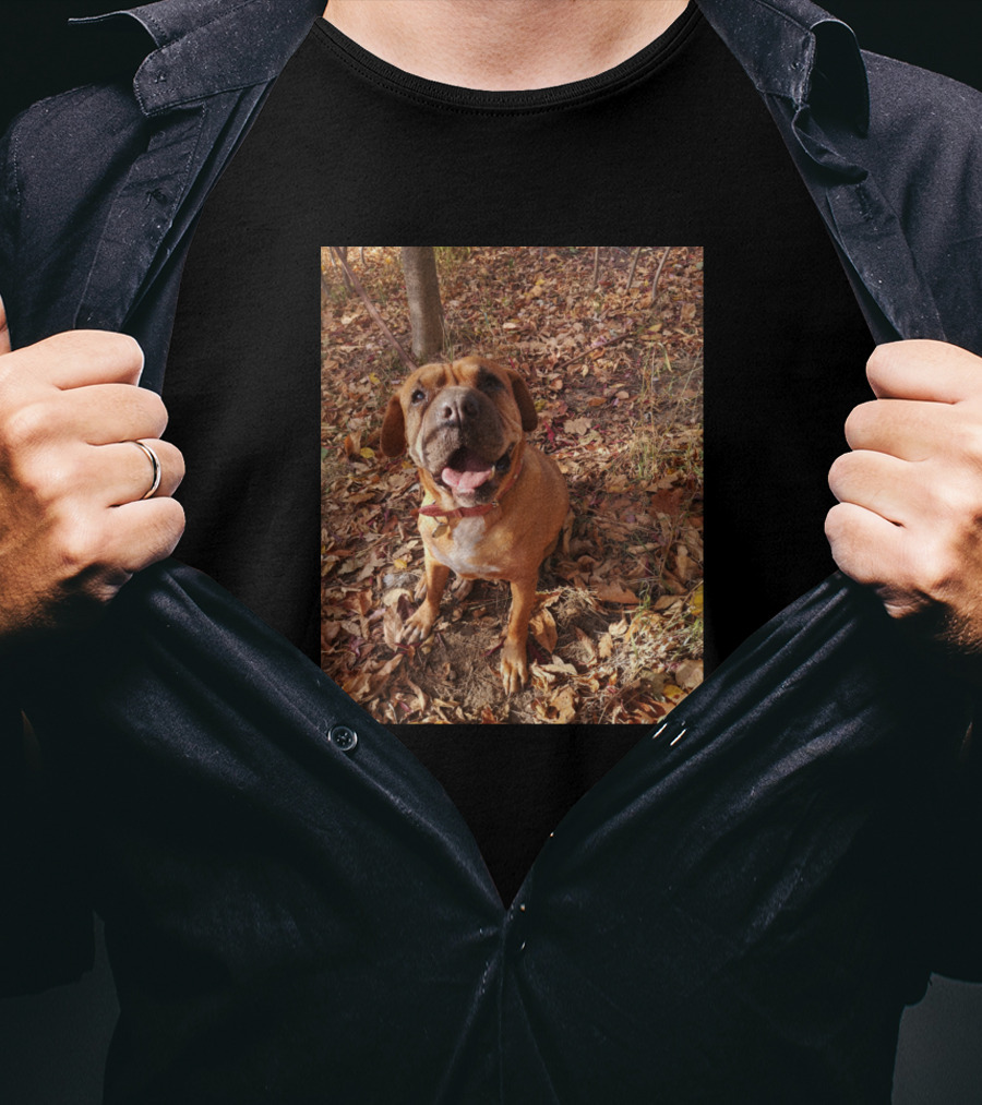 Canela Autumn Leaves Brown Dog T-Shirt