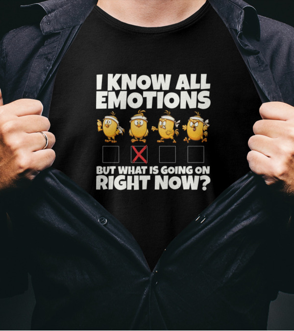 I Know All Emotions But What Is Going On Right Now? T-Shirt