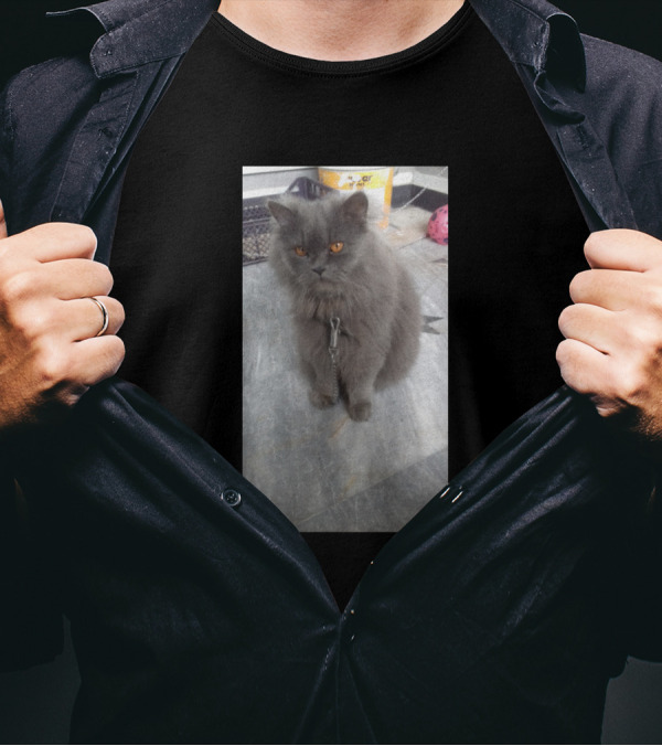 Orange Eyes Gray Cat On Leash T-Shirt